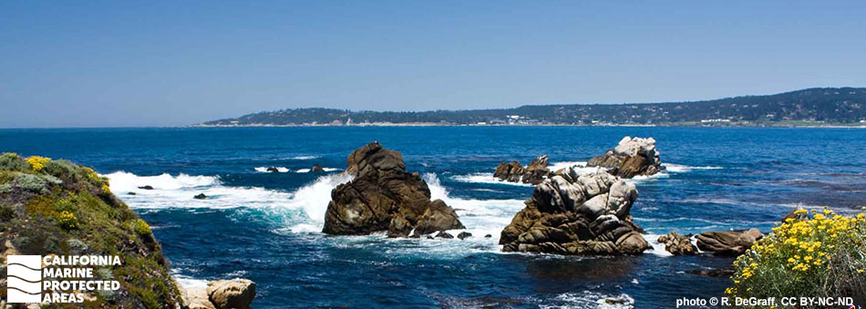 rounded rocks extend up from deep blue waters, kelp patties dot the ocean, crescent shaped coastline extends out along the horizon terminating at a thin strip land